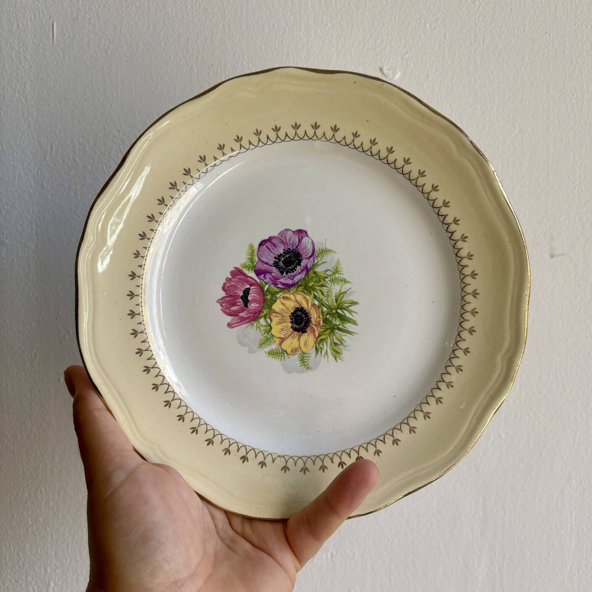 Set of 6 vintage dessert plates model Coopélia - L'Amandinoise