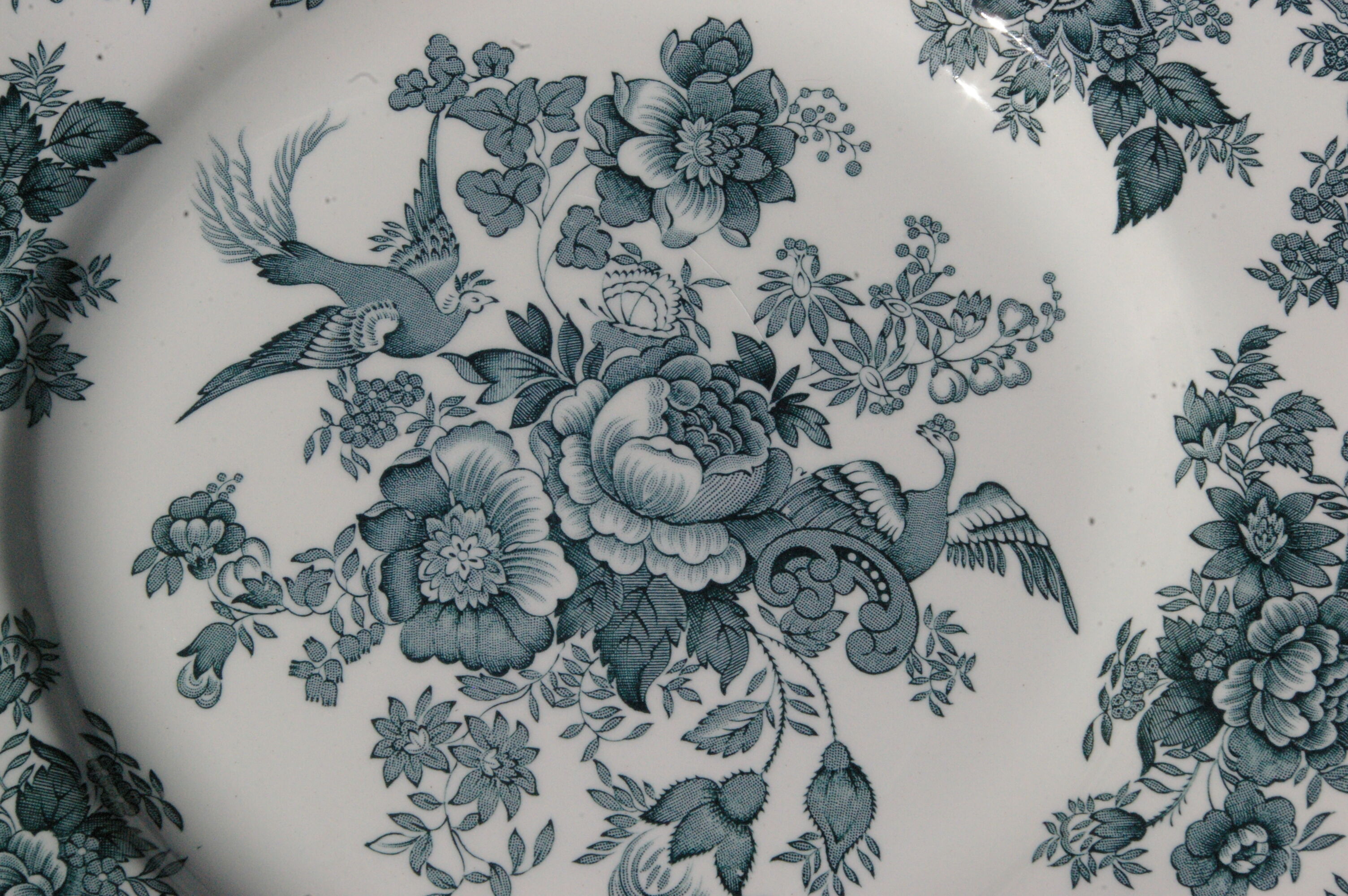 6 Flat Plates - Enoch Wedgwood (Tunstall) Ltd - Asiatic Pheasants Blue