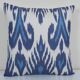 Cushion