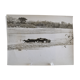 Anonymous silver photo hippopotamus africa circa 1970