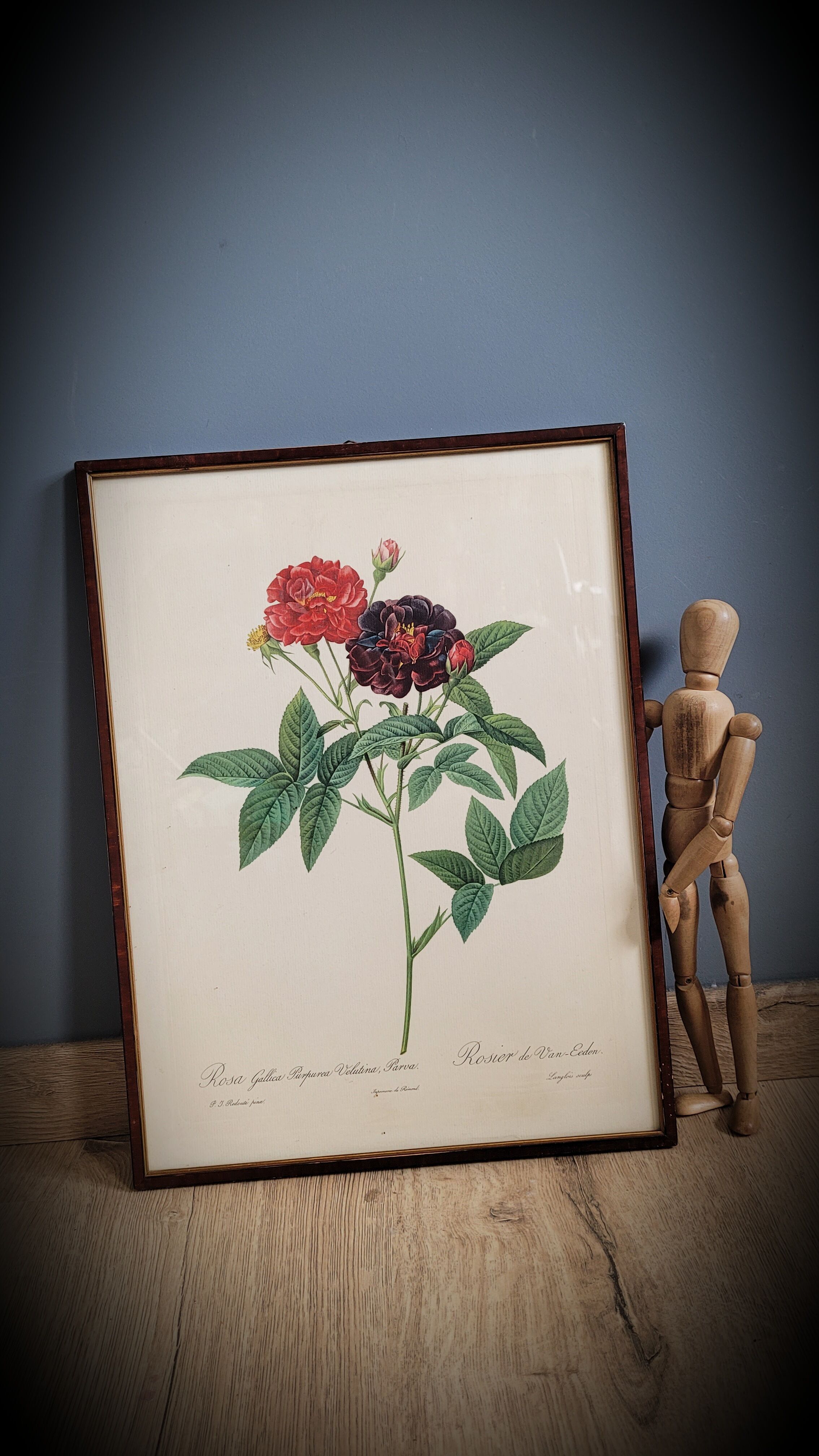 Lithograph frame rose Van Eeden