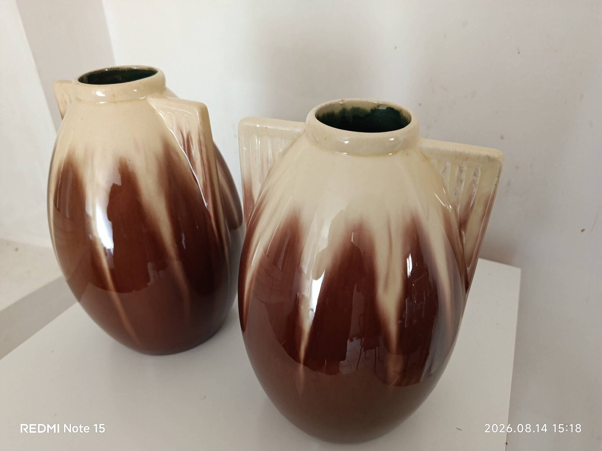 pair of vases by Gustave de Bryn