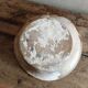 Coupe/vasque en terre cuite vermissee a decor lezard salamandre