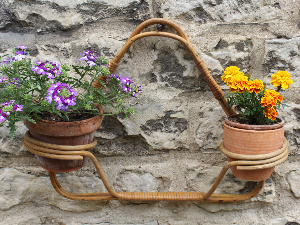 Rattan wall plant holders