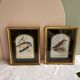 Two vintage bird prints by David Andrews - Chickadee and Song Thrush