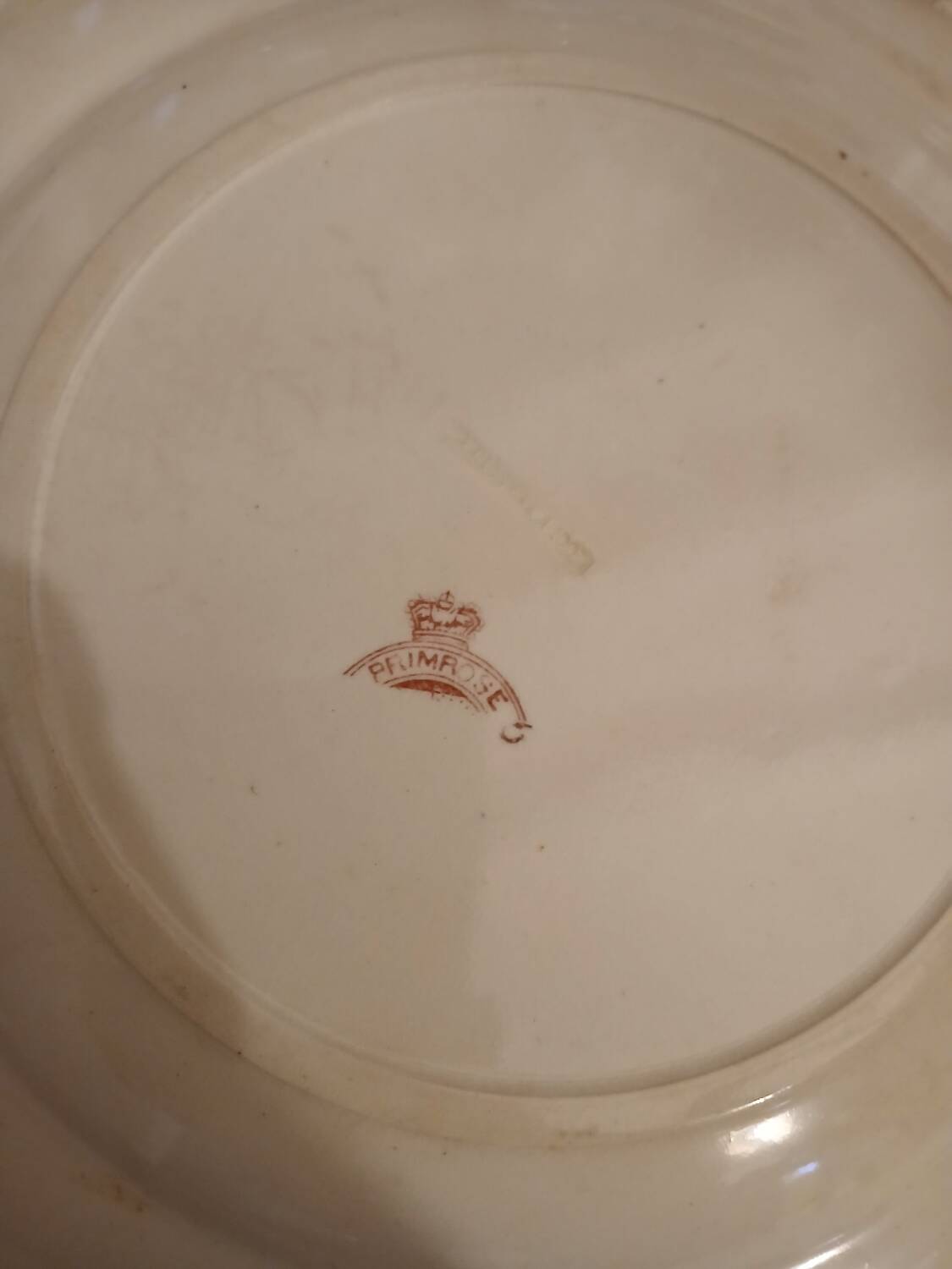 10 antique ironstone dinner plates