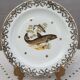 Set 12 plates porcelain gold fine fish fern limousine de Chastagner