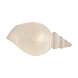 Glass shell lamp