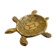 Brass turtle trinket bowl