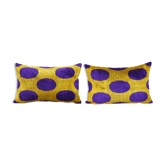 Paire de coussins Ikat