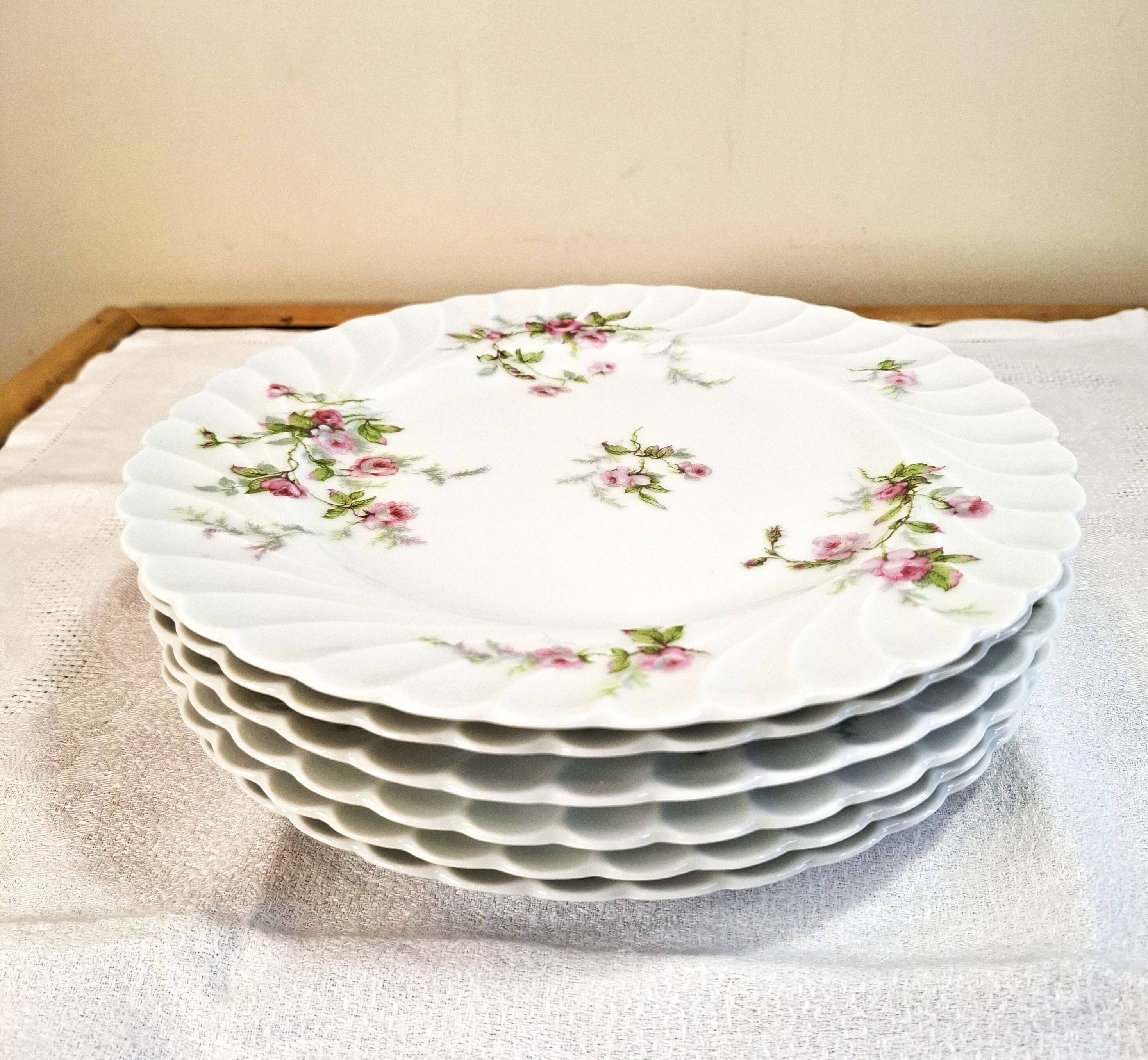 Flat plates in Limoges porcelain by Haviland