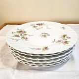 Flat plates in Limoges porcelain by Haviland