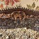 Louis XV bench/canapé