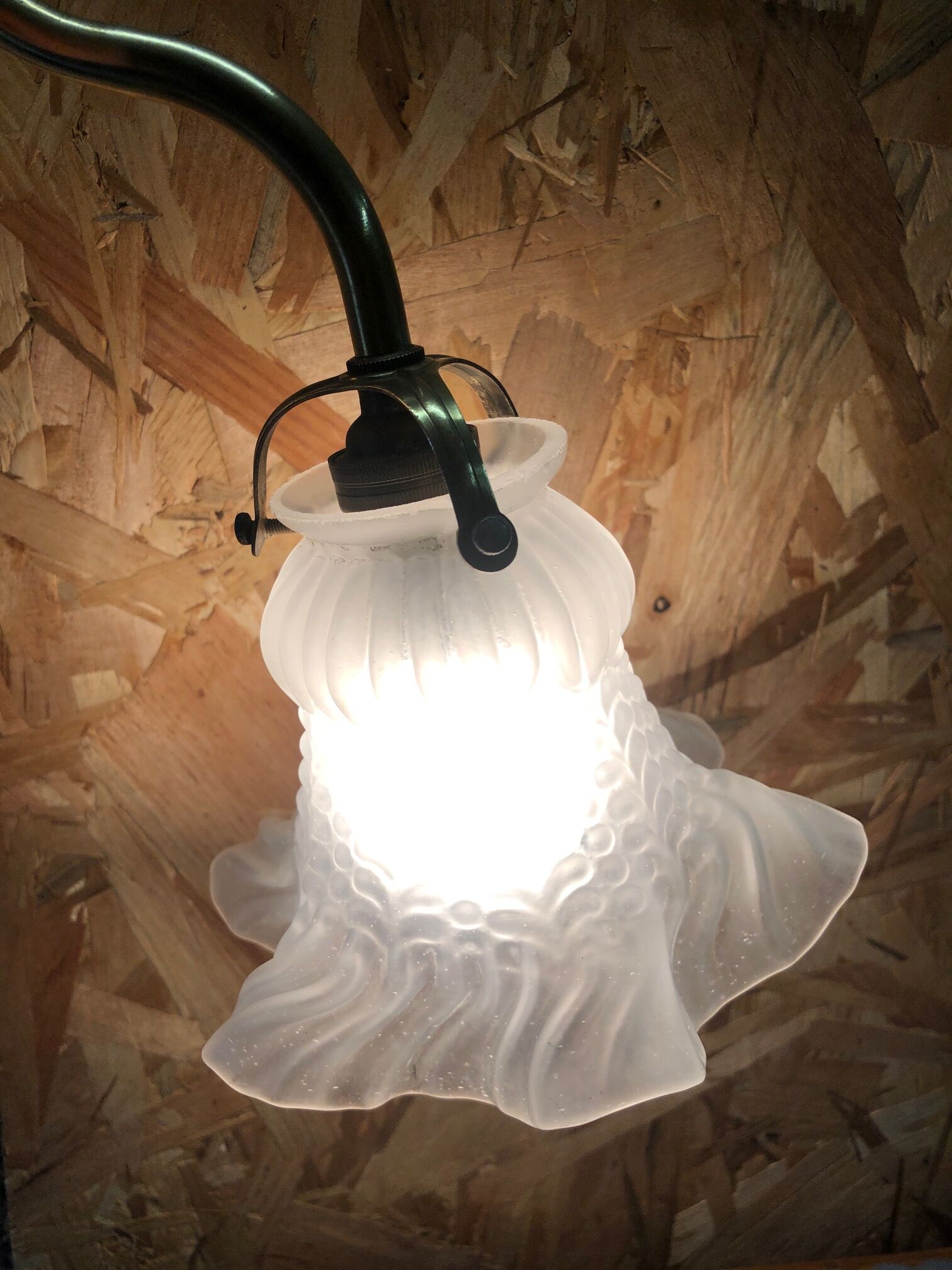 Tulip wall lamp sandblasted glass