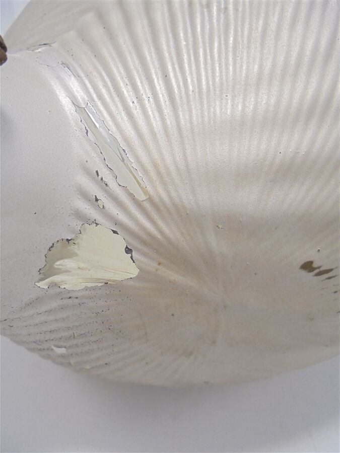 X-Ray reflector wall light