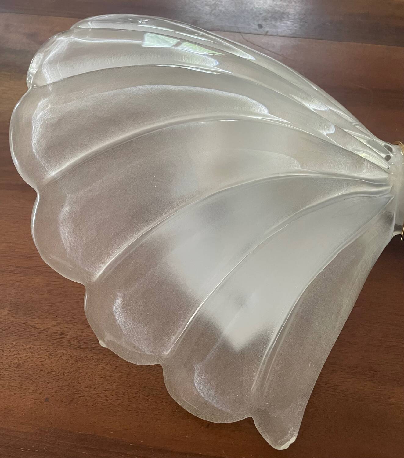 Applique coquille Murano vintage