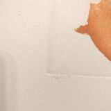 Original lithograph Signed Roger Hebbelinck 1912 1987 Belgian n°126/350