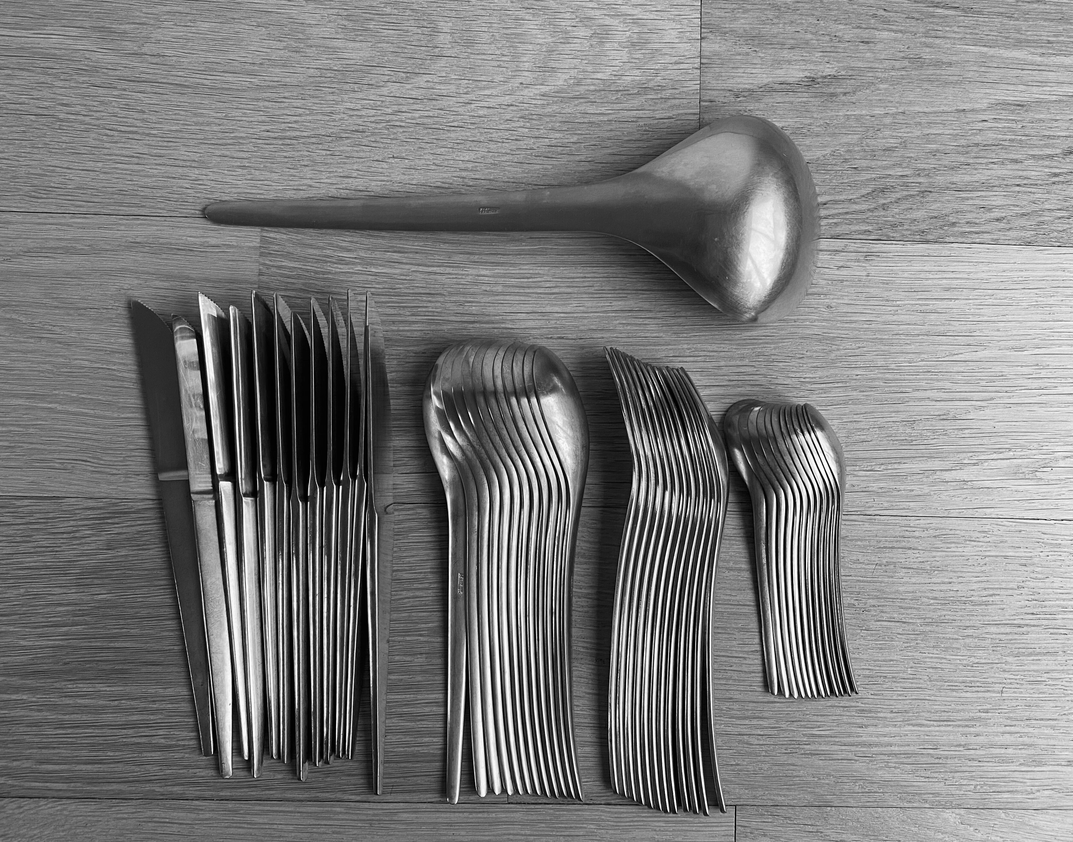 Cutlery Guy degrenne