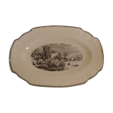 Dish