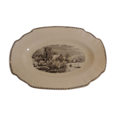 Dish