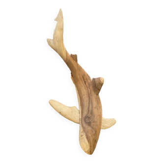 Sculpture , bois requin