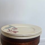 Badonvillier flat plates