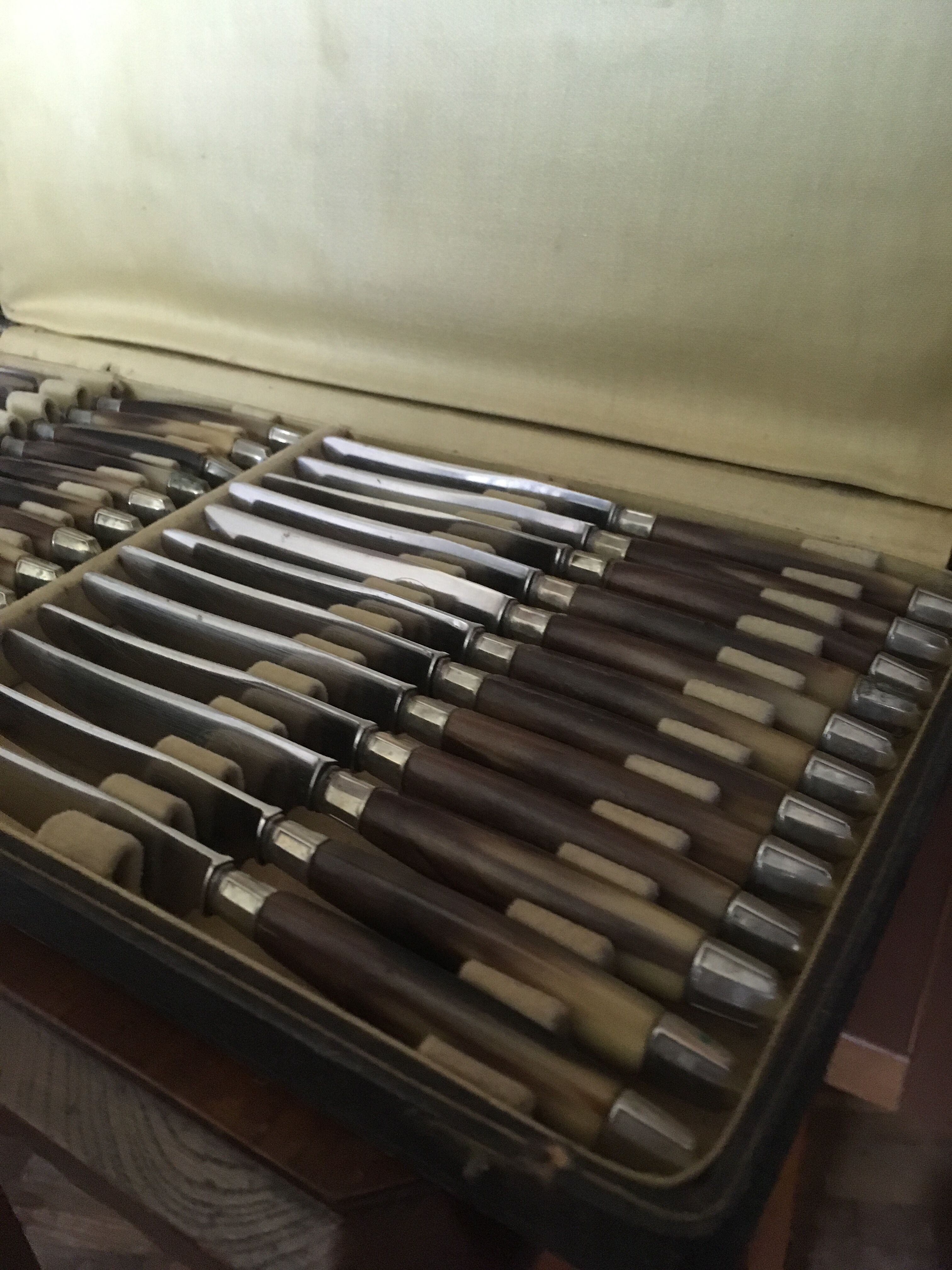 Series of dessert cutlery in stainless steel "with two lions"