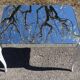 Mirror glass coffee table