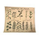 Displays educational fruit / leaves - Nightingale