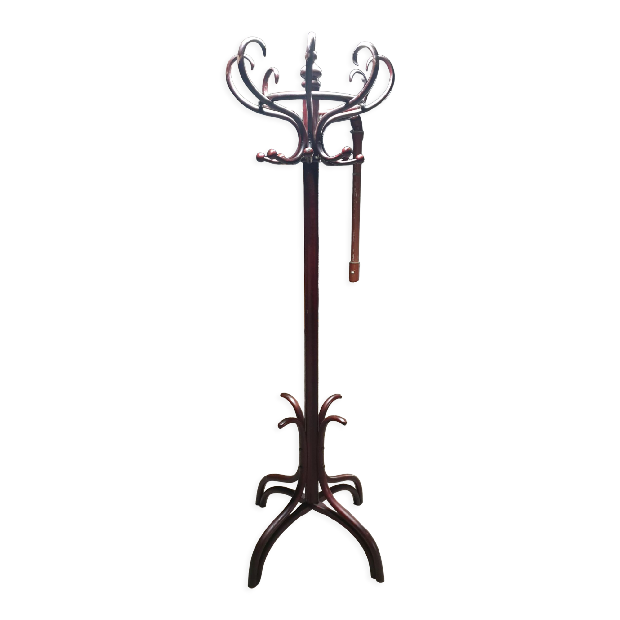 Art Nouveau curved wood coat rack