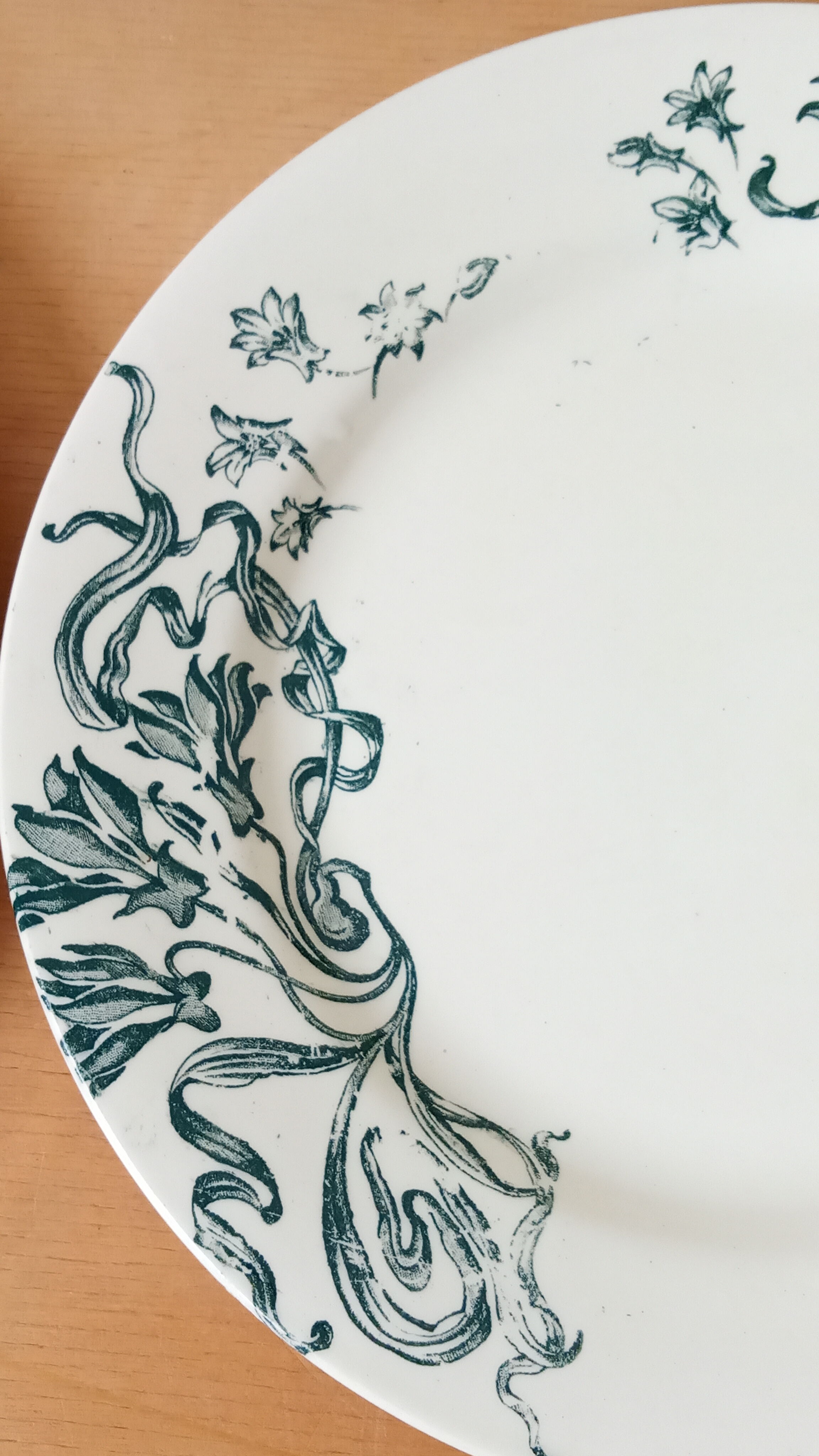 Six assiettes en terre de fer de Salins