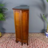 Art nouveau display cabinet, 1920s