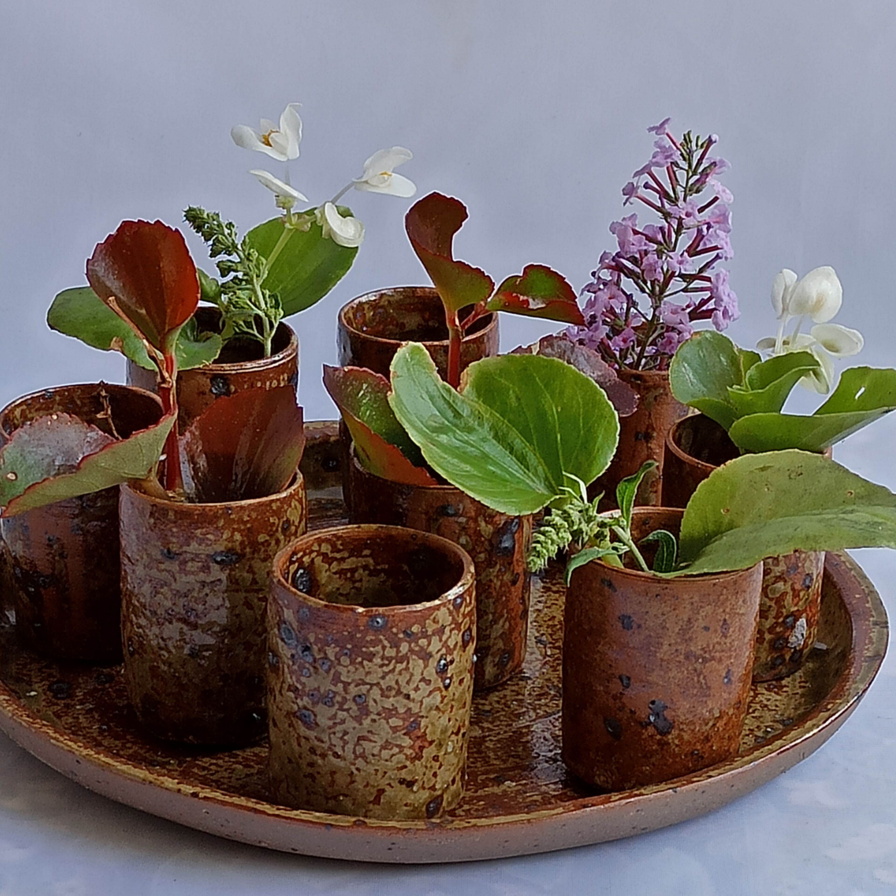 Service La Borne in raw pyrity sandstone