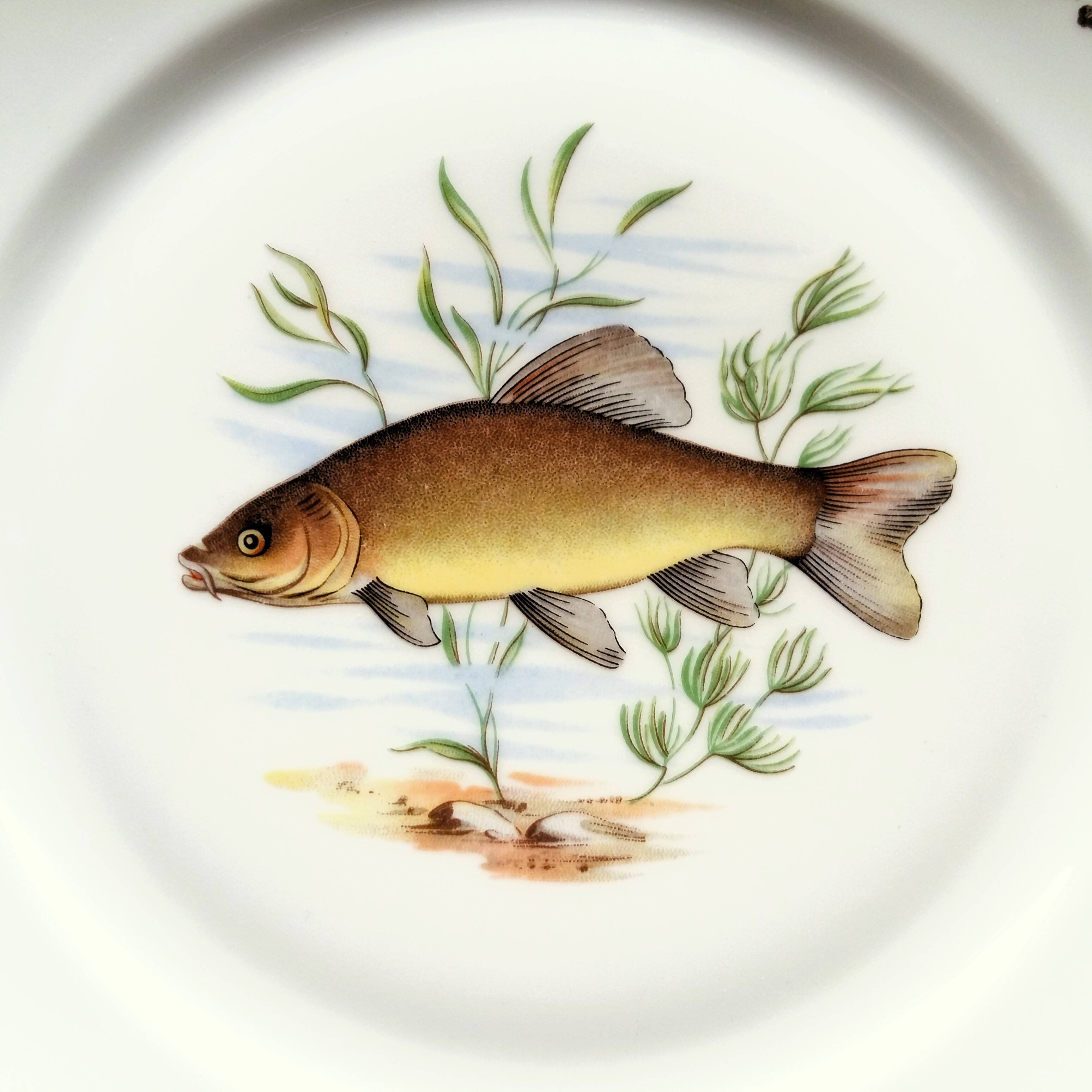 Set of four fish plates. vintage french fish plate set.