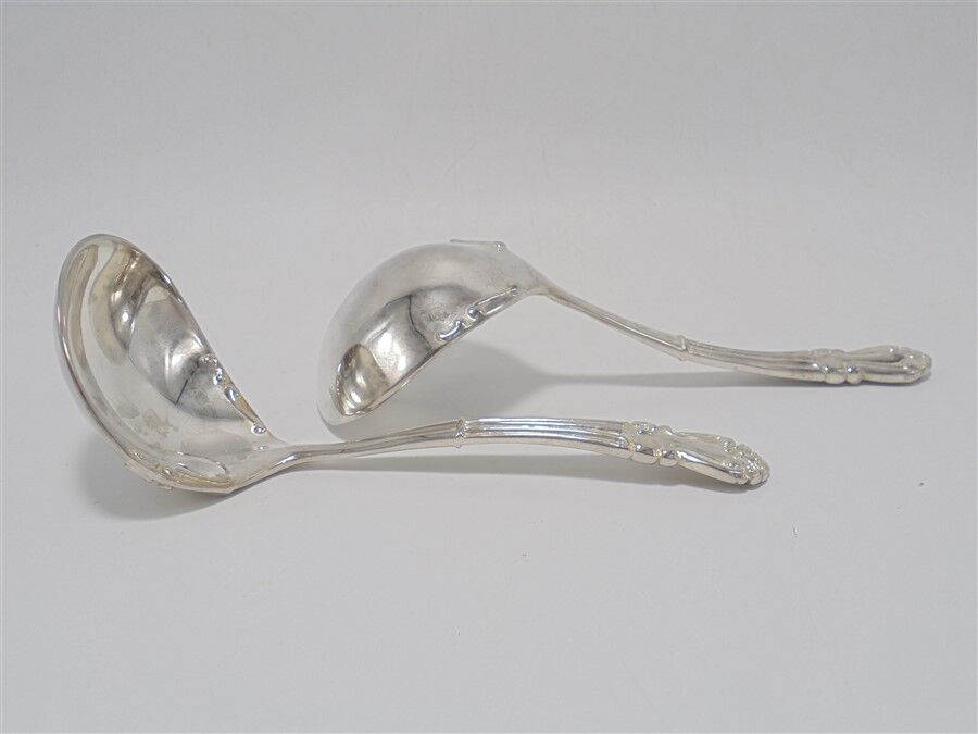Duo of little ladle