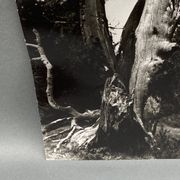 Photographie argentique Bernard Darot Les Vaincus XXe AFIAP
