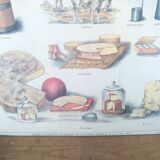 Pedagogical school poster, the lait