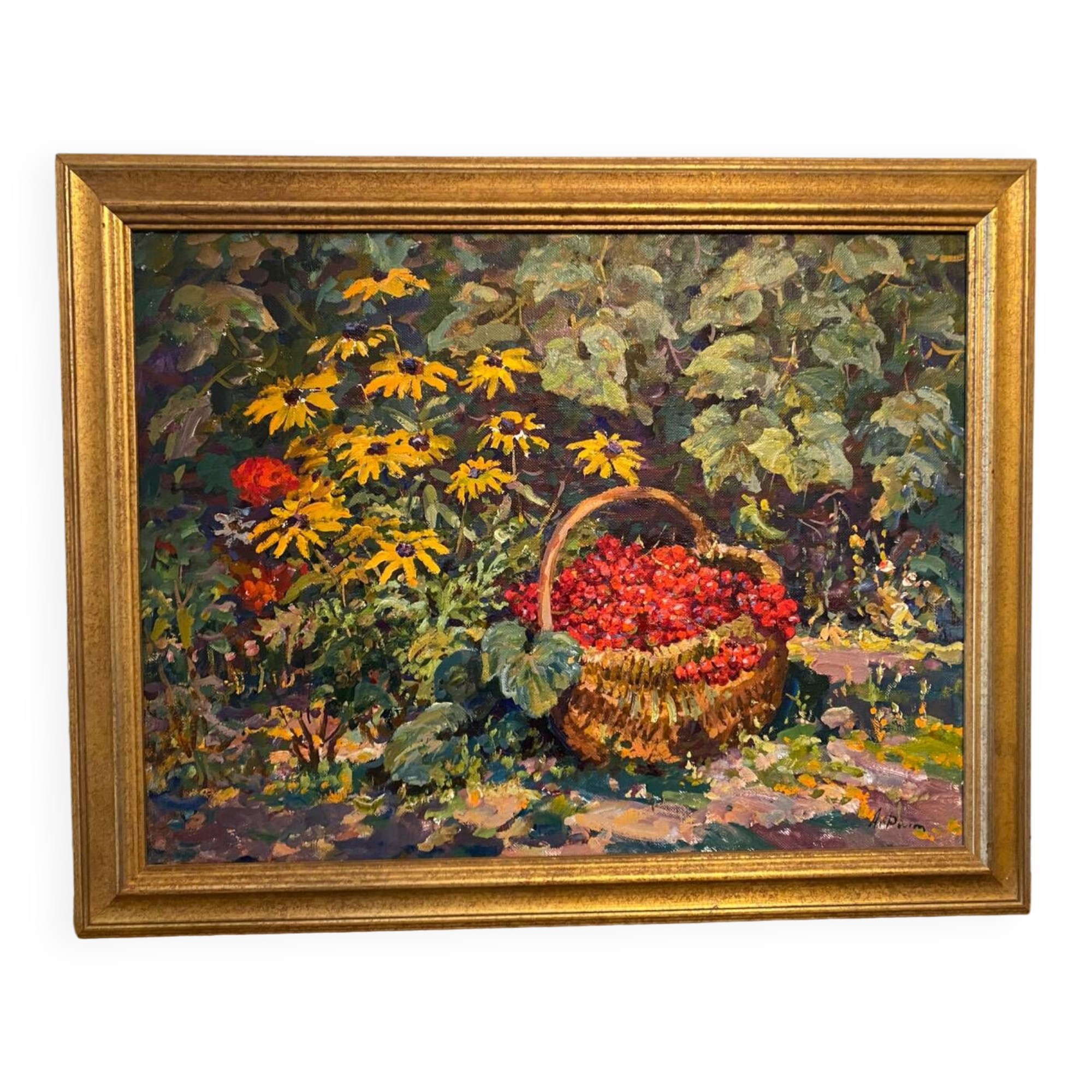 Basket of Russian school cherries