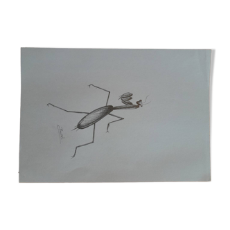 Illustration insecte