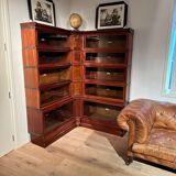 Antique Globe Wernicke Bookcase