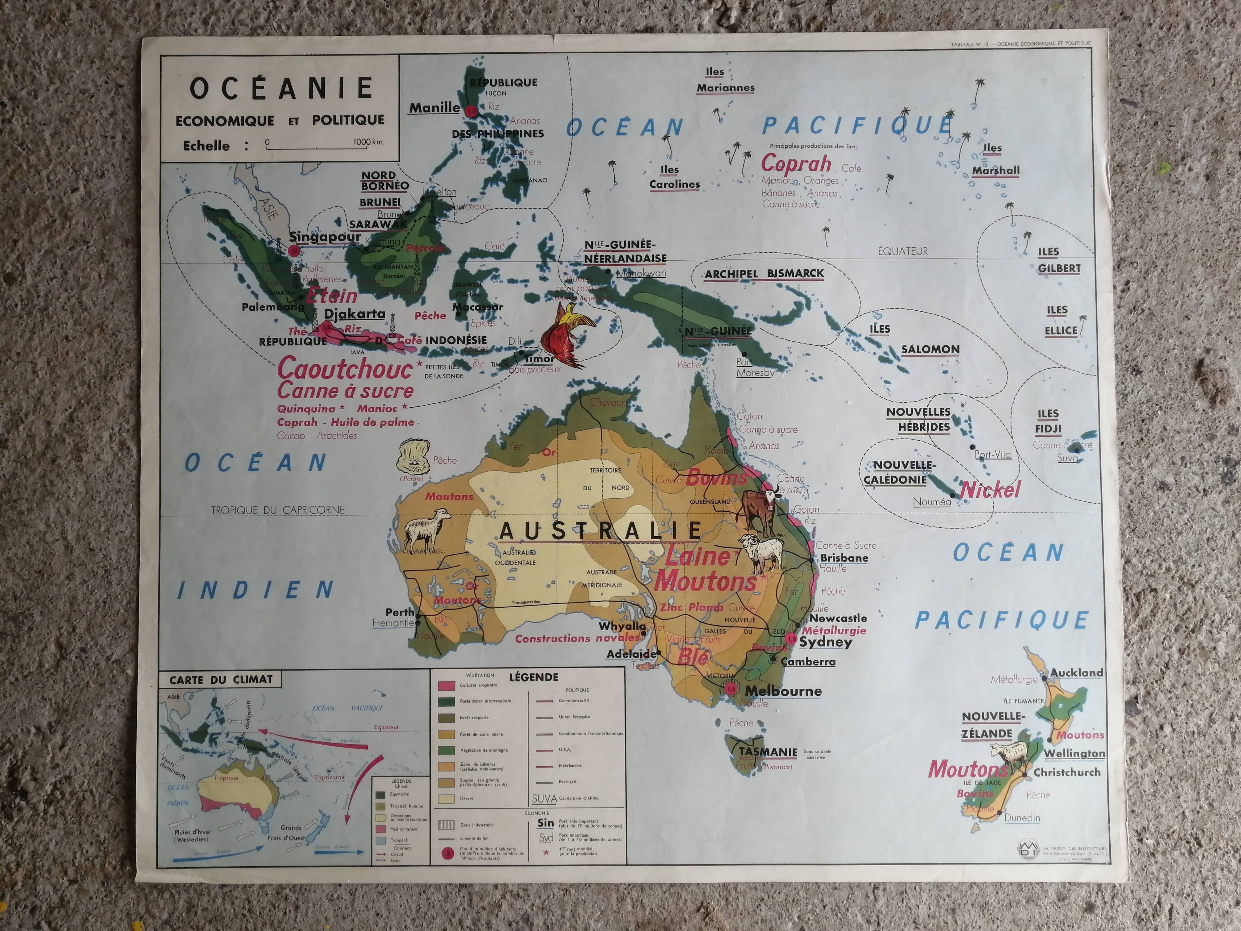 MDI school map: SOUTH AMERICA - OCEANIA fauna vegetation.