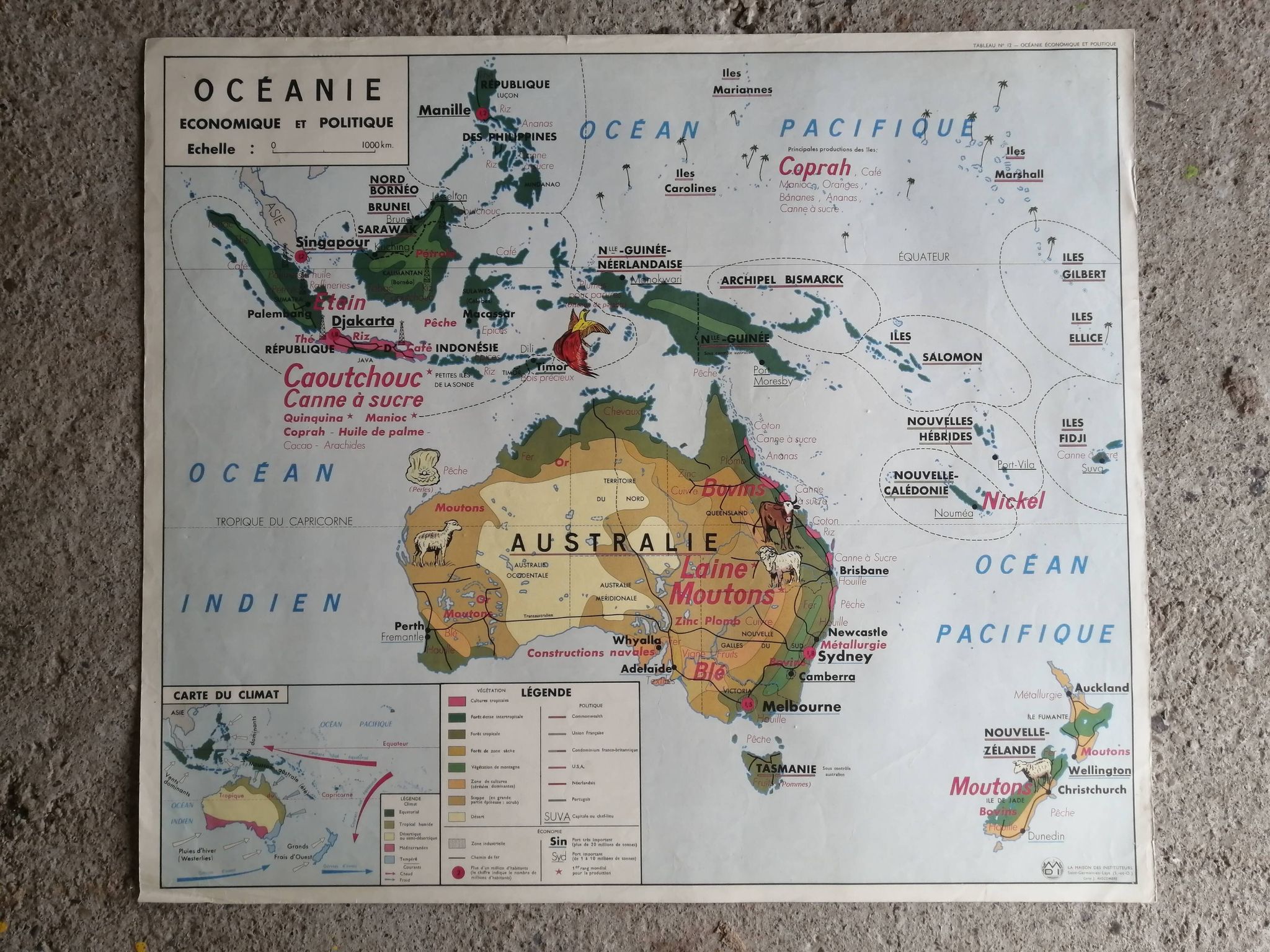 MDI school map: SOUTH AMERICA - OCEANIA fauna vegetation.