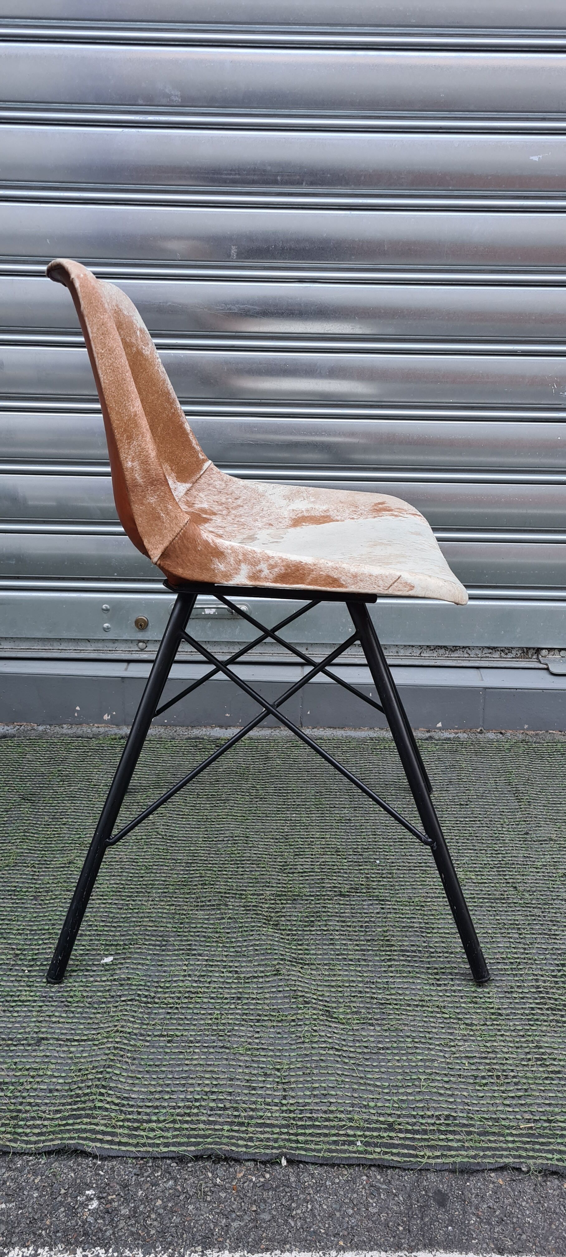 Sete of 6 cow haid chairs