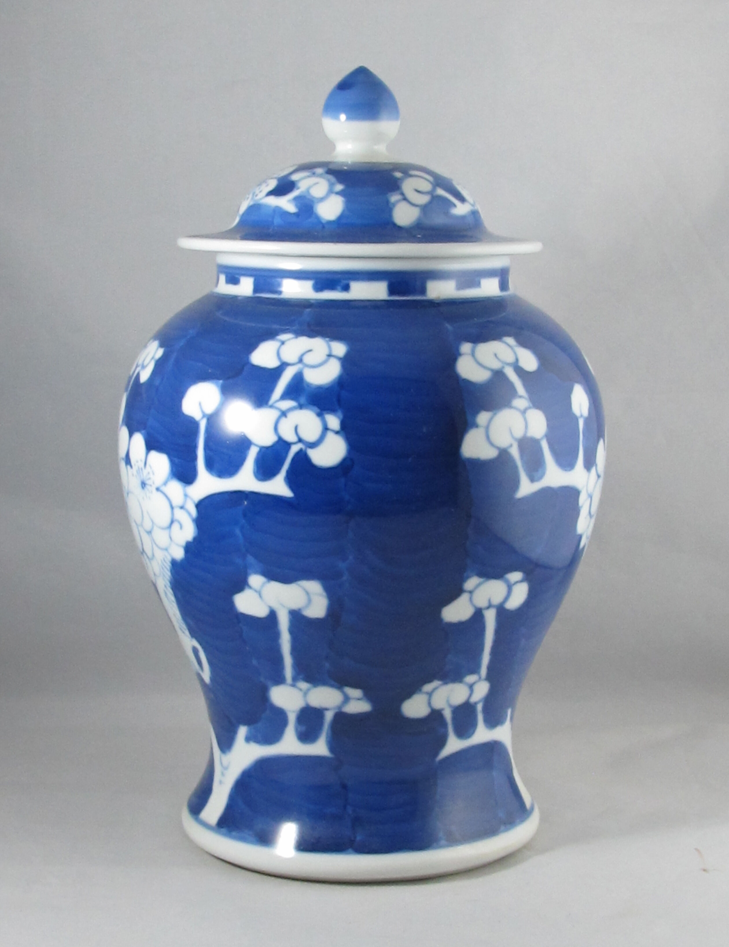 Chinese potiche blue white China