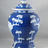 Chinese potiche blue white China