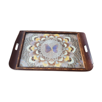 Butterfly wing tray