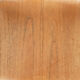 Set of 3 plywood Euroika dining chairs by Friso Kramer for Auping