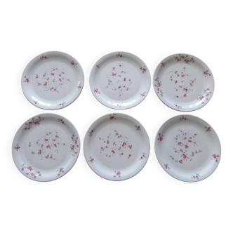 Set of 6 dessert plates