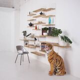 Modular wall shelf String.