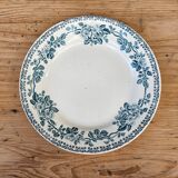 Flat plates Guadeloupe Terre de Fer
